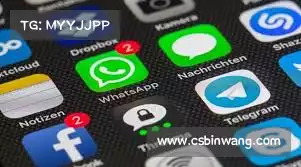 橘子加速器手机版——无缝体验,轻松畅游,尽享每一刻的自由!